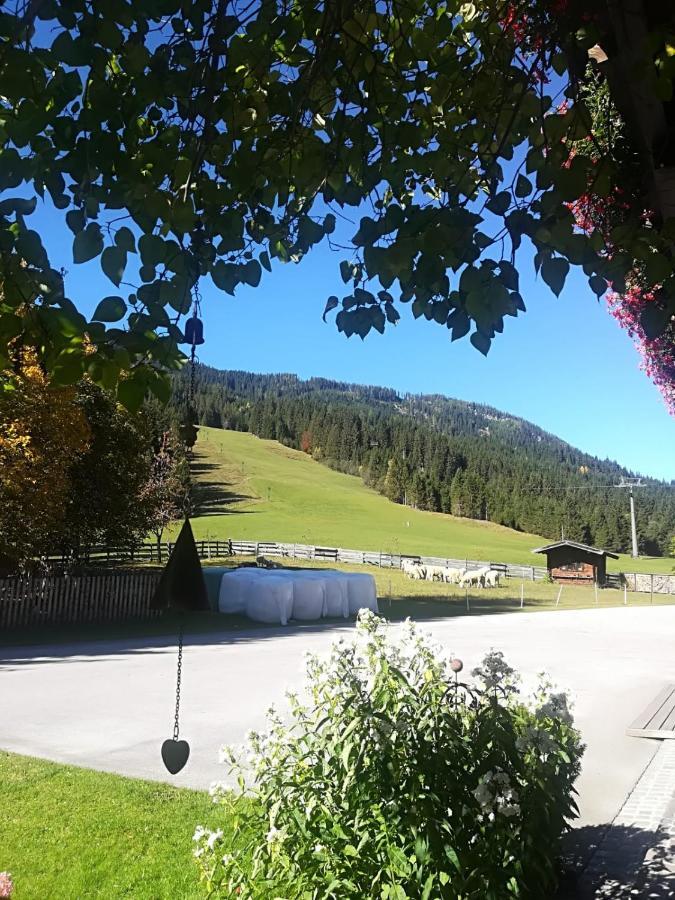 Walchauhof Hotell Flachau Exteriör bild